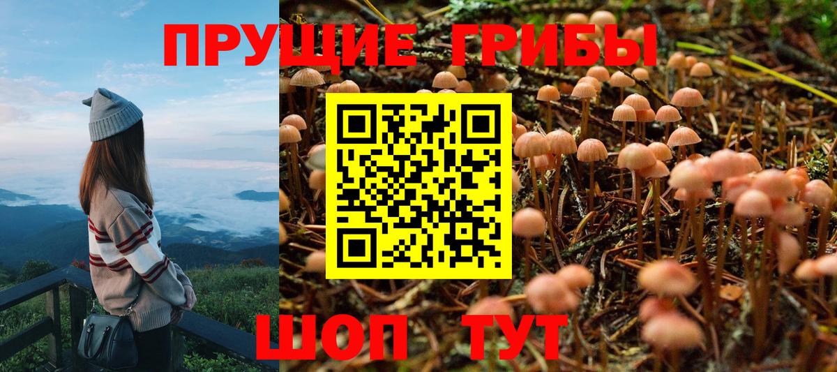Галлюциногенные грибы ЛСД Зеленокумск