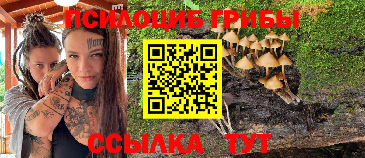Псилоцибиновые грибы прущие грибы  Вход с VPN  Зеленокумск 